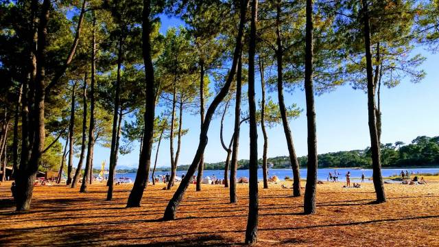 VILLA LANDAISE HOSSEGOR